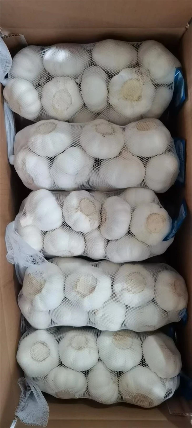 o o